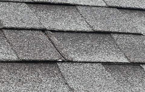 Close-up of hail damage on asphalt shingles, photographed at inspection